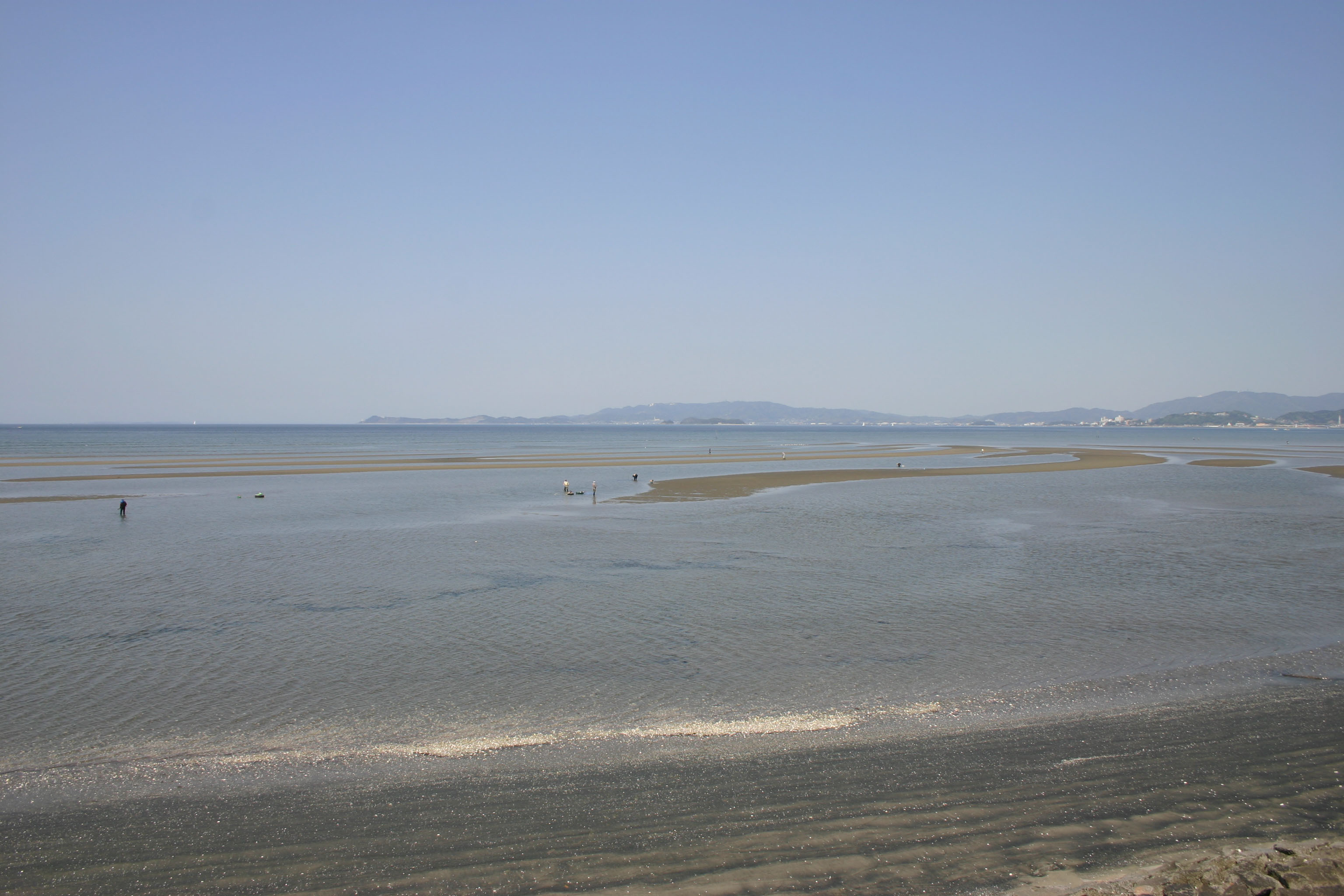 豊川が育む三河湾の幸