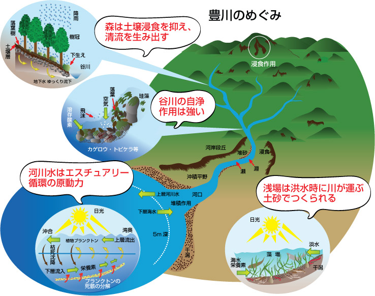 森から海へ